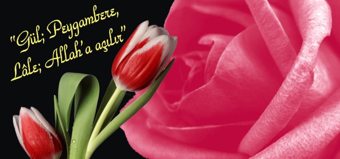 "GÜL; PEYGAMBERE, LÂLE; ALLAH’A AÇILIR"