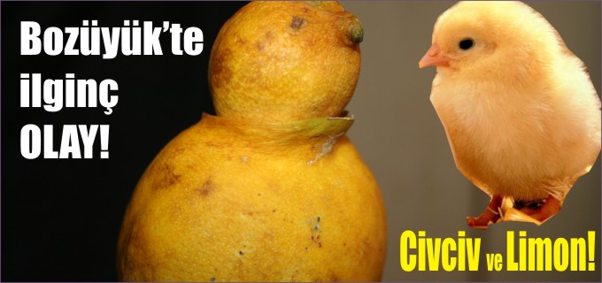 BOZÜYÜK’TE İLGİNÇ OLAY!..