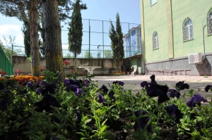 26 CAMİYE 20 BİN ÇİÇEK DİKİLDİ