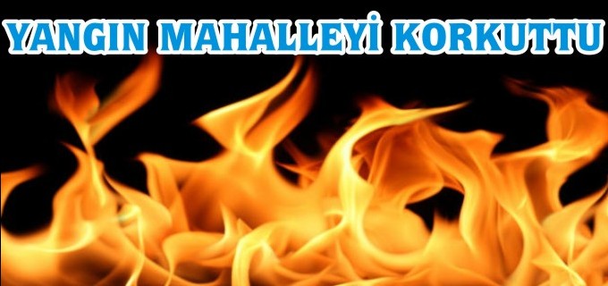 YANGIN MAHALLEYİ KORKUTTU
