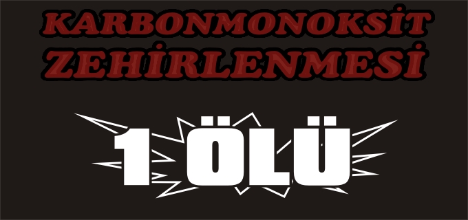 KARBONMONOKSİT ZEHİRLENMESİ 1 ÖLÜ
