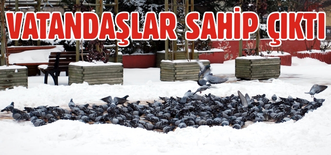 VATANDAŞLAR SAHİP ÇIKTI