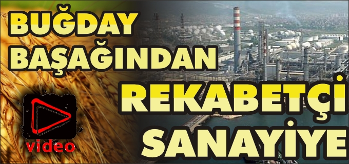"BUĞDAY BAŞAĞINDAN, REKABETÇİ SANAYİYE"