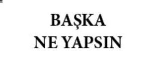 BAŞKA NE YAPSIN!