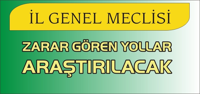 ZARAR GÖREN YOLLAR ARAŞTIRILACAK