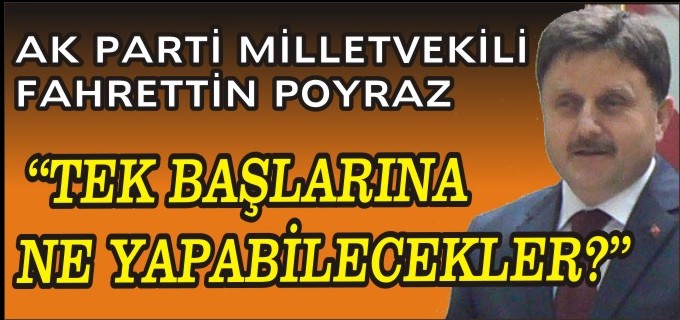 ’’TEK BAŞLARINA NE YAPABİLECEKLER’’