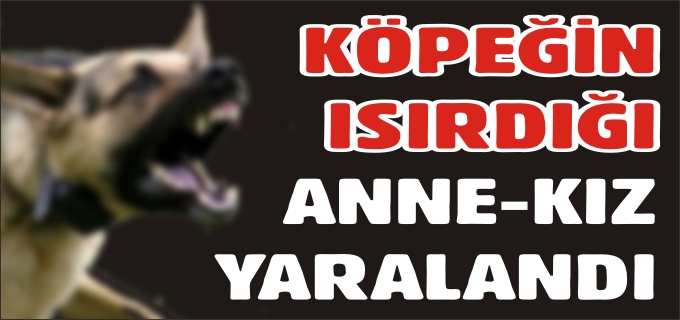 KÖPEĞİN ISIRDIĞI ANNE-KIZ YARALANDI