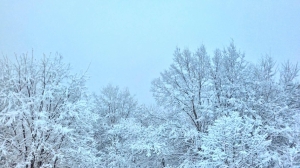 KAR KALINLIĞI 25 CM'E ULAŞTI