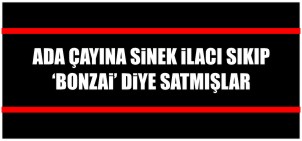 ADA ÇAYINA SİNEK İLACI SIKIP ‘BONZAİ‘ DİYE SATMIŞLAR