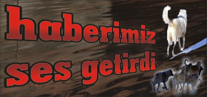 HABERİMİZ SES GETİRDİ