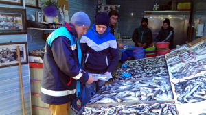 BALIK SATIŞ YERLERİ DENETLENDİ