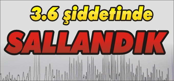 BİLECİK KISA SÜRELİ SALLANDI