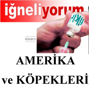 AMERİKA VE KÖPEKLERİ