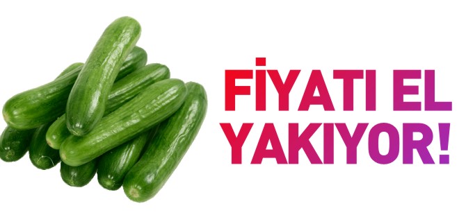 FİYATI EL YAKIYOR