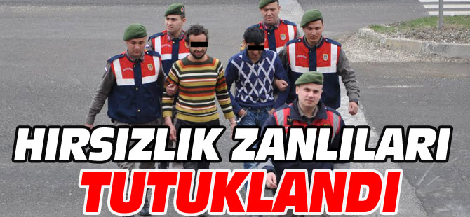 HIRSIZLIK ZANLILARI TUTUKLANDI