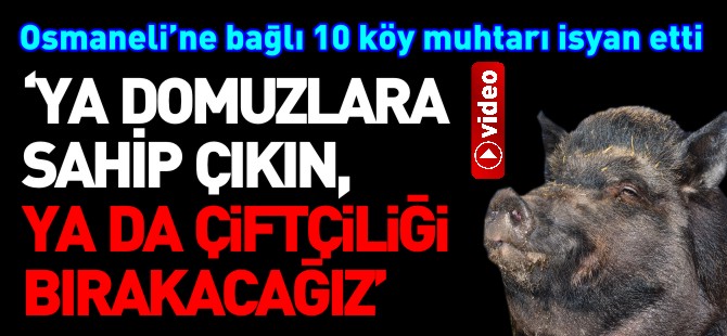 YA DOMUZLARA SAHİP ÇIKIN, YA DA ÇİFTÇİLİĞİ BIRAKACAĞIZ