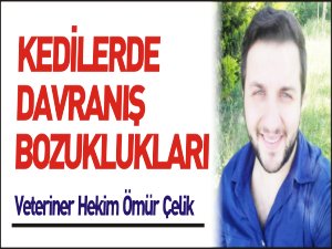 KEDİLERDE DAVRANIŞ BOZUKLUKLARI