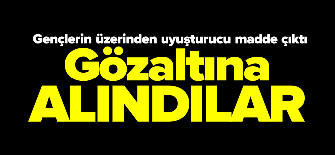 İKİ GENÇ GÖZALTINA ALINDI