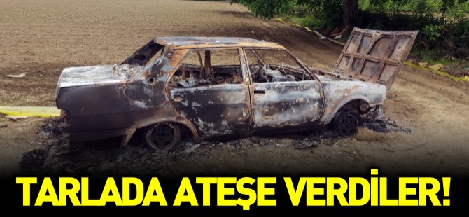 TARLADA ATEŞE VERDİLER