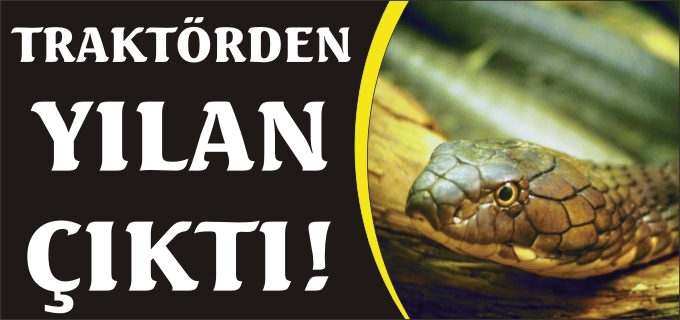 TRAKTÖRDEN YILAN ÇIKTI