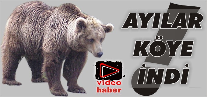AYILAR KÖYE İNDİ