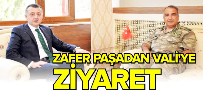 ZAFER PAŞADAN VALİ'YE ZİYARET