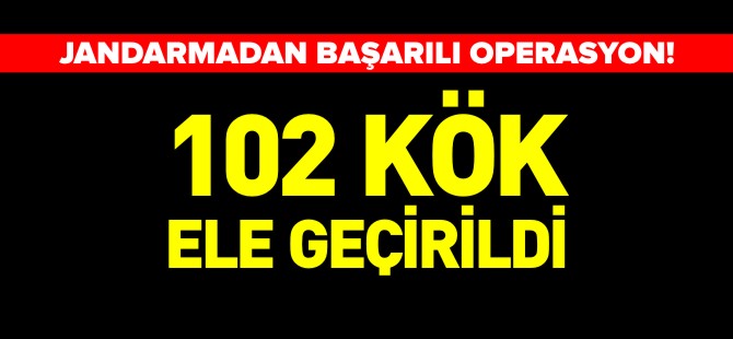 102 KÖK KENEVİR ELE GEÇİRİLDİ