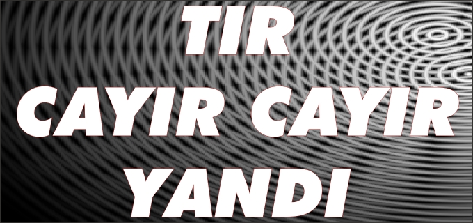 OSMANELİ’NDE ORMAN YANGINI