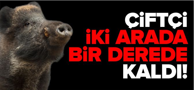 ÇİFTÇİ İKİ ARADA BİR DEREDE KALDI