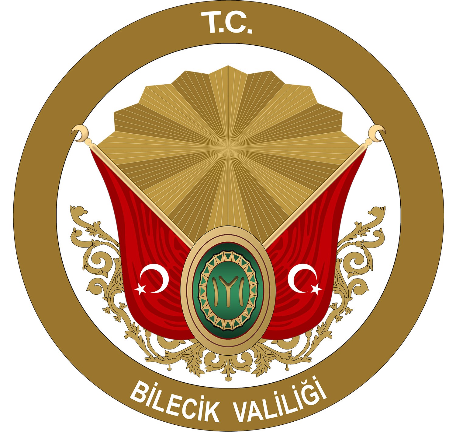 BU PROJE BİLECİK İÇİN BİR İLK