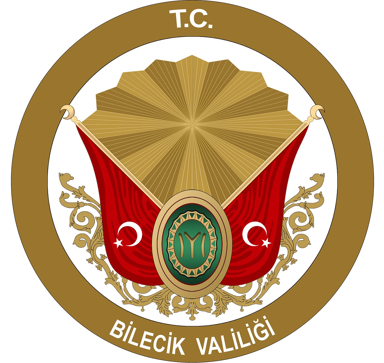 BU PROJE BİLECİK İÇİN BİR İLK