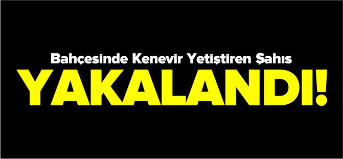 BAHÇESİNDE KENEVİR YETİŞTİREN ŞAHIS YAKALANDI