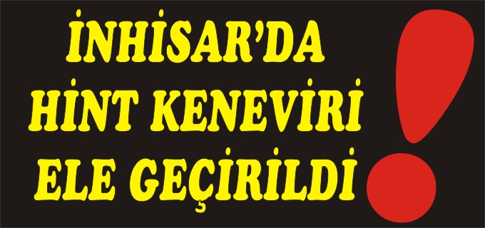 İNHİSAR’DA TARLAYA EKİLİ 980 KÖK HİNTKENEVİRİ ELE GEÇİRİLDİ