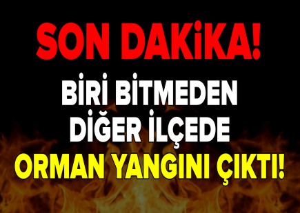 BİRİ BİTMEDEN DİĞER İLÇEDE ORMAN YANGINI ÇIKTI