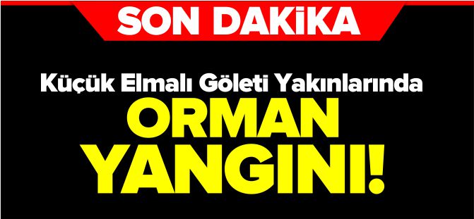 KÜÇÜK ELMALI GÖLETİ YAKINLARINDA ORMAN YANGINI