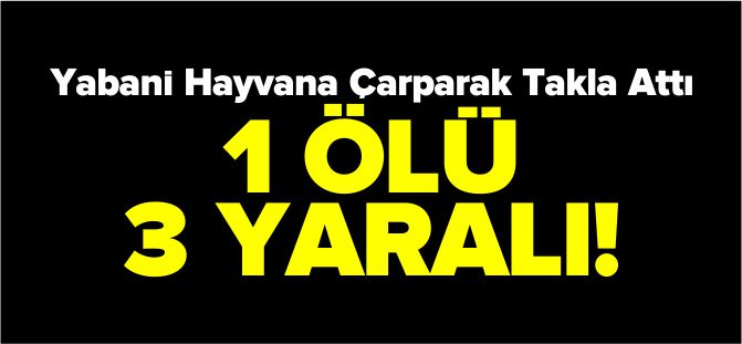 OTOMOBİL YABANİ HAYVANA ÇARPTI 1 ÖLÜ 3 YARALI