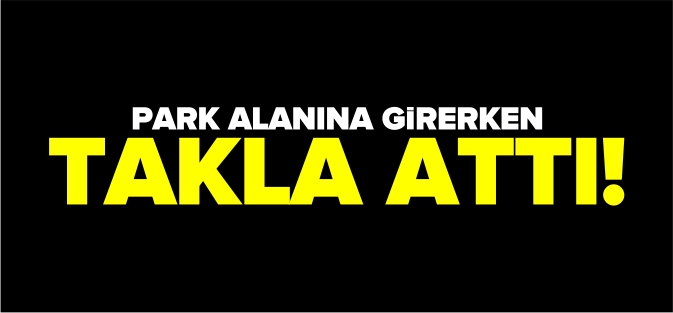 PARK ALANINA GİRERKEN TAKLA ATTI