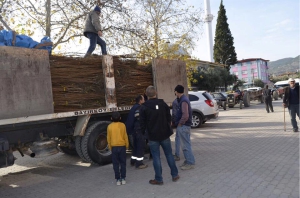 ÜCRETSİZ HURMA FİDANI DAĞITILDI