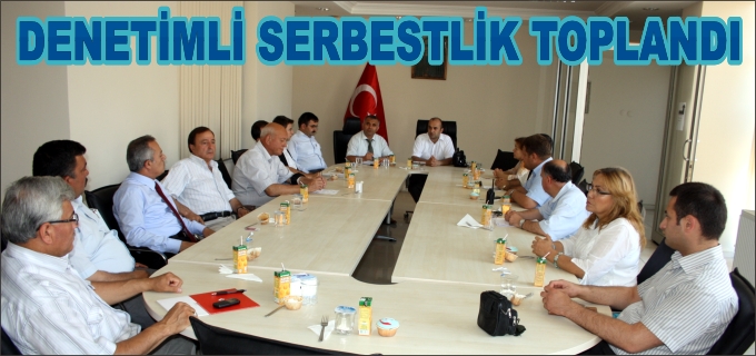 DENETİMLİ SERBESTLİK MESLEK SAHİBİ YAPIYOR