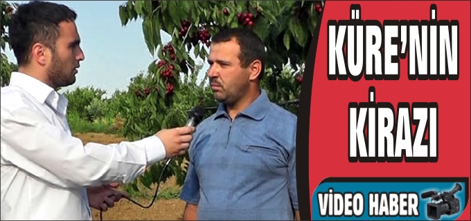 KÜRE’NİN KİRAZI