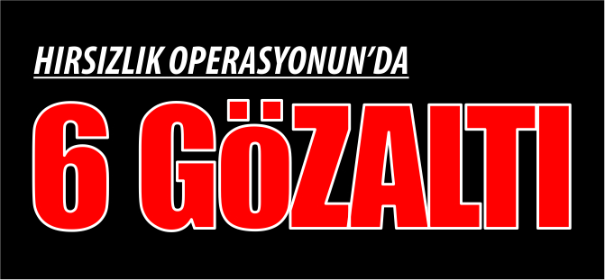 HIRSIZLIK OPERASYONUNDA 6 GÖZALTI