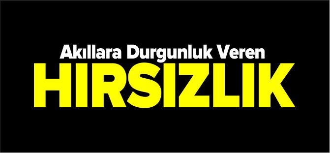 AKILLARA DURGUNLUK VEREN HIRSIZLIK