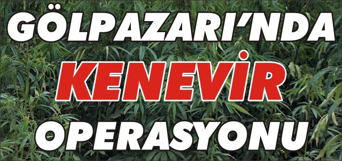 GÖLPAZARI’NDA 306 KÖK KENEVİR ELE GEÇİRİLDİ