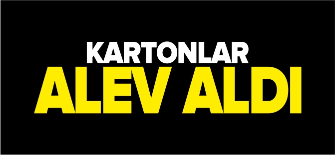 KARTONLAR ALEV ALDI