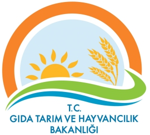 9 PROJE HİBE DESTEĞİ ALACAK
