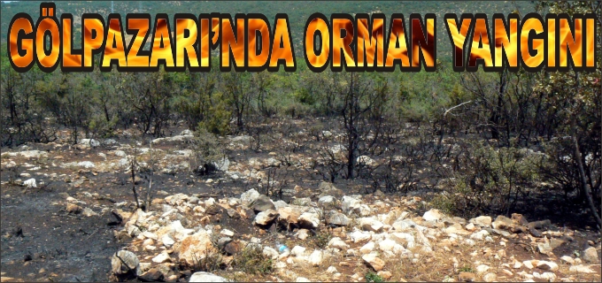 GÖLPAZARI’NDA ORMAN YANGINI