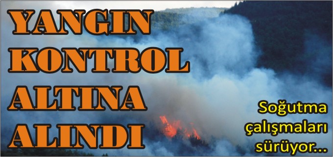 ABBASLIK MEVKİİNDE ORMAN YANGINI