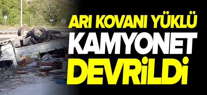 ARI YÜKLÜ KAMYONET DEVRİLDİ