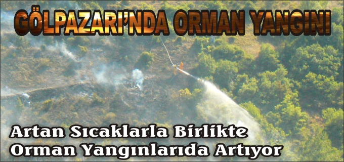 GÖLPAZARI’NDA ORMAN YANGINI