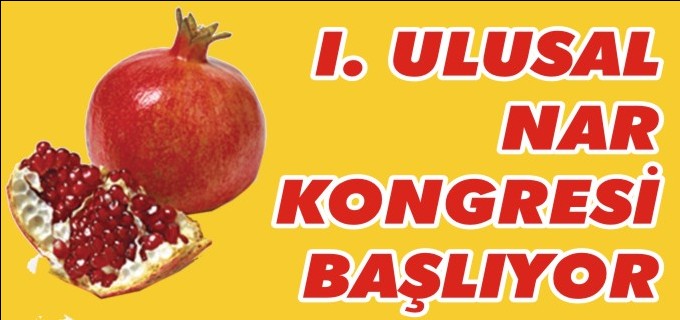 1. ULUSAL NAR KONGRESİ YARIN BAŞLIYOR